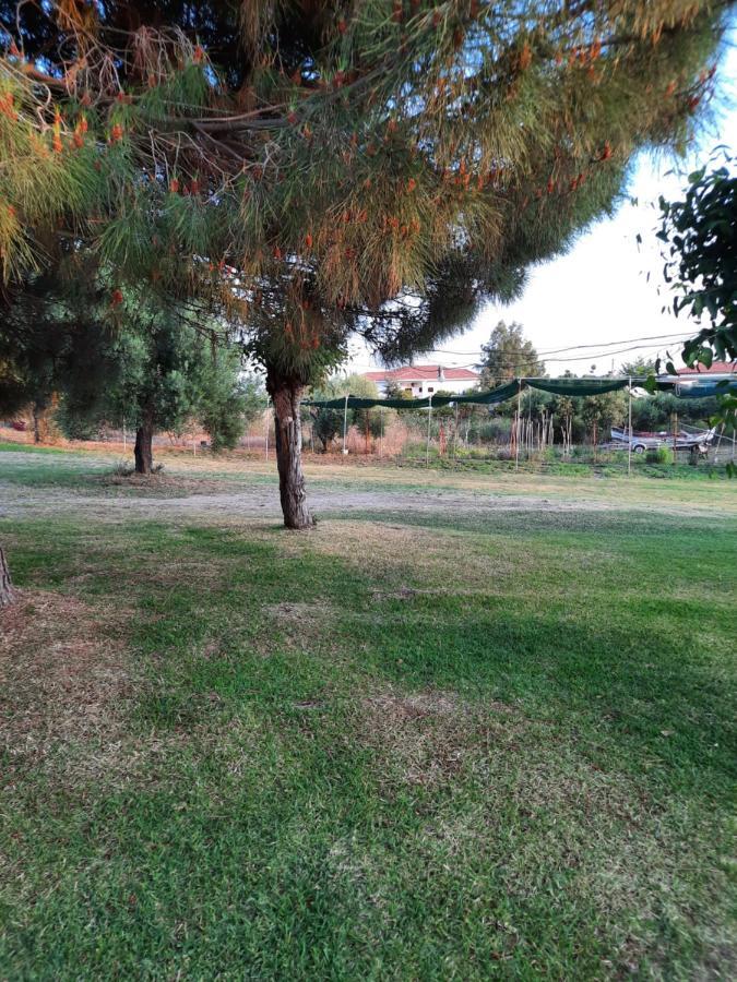 Bungalows Anestis Toroni Exterior foto