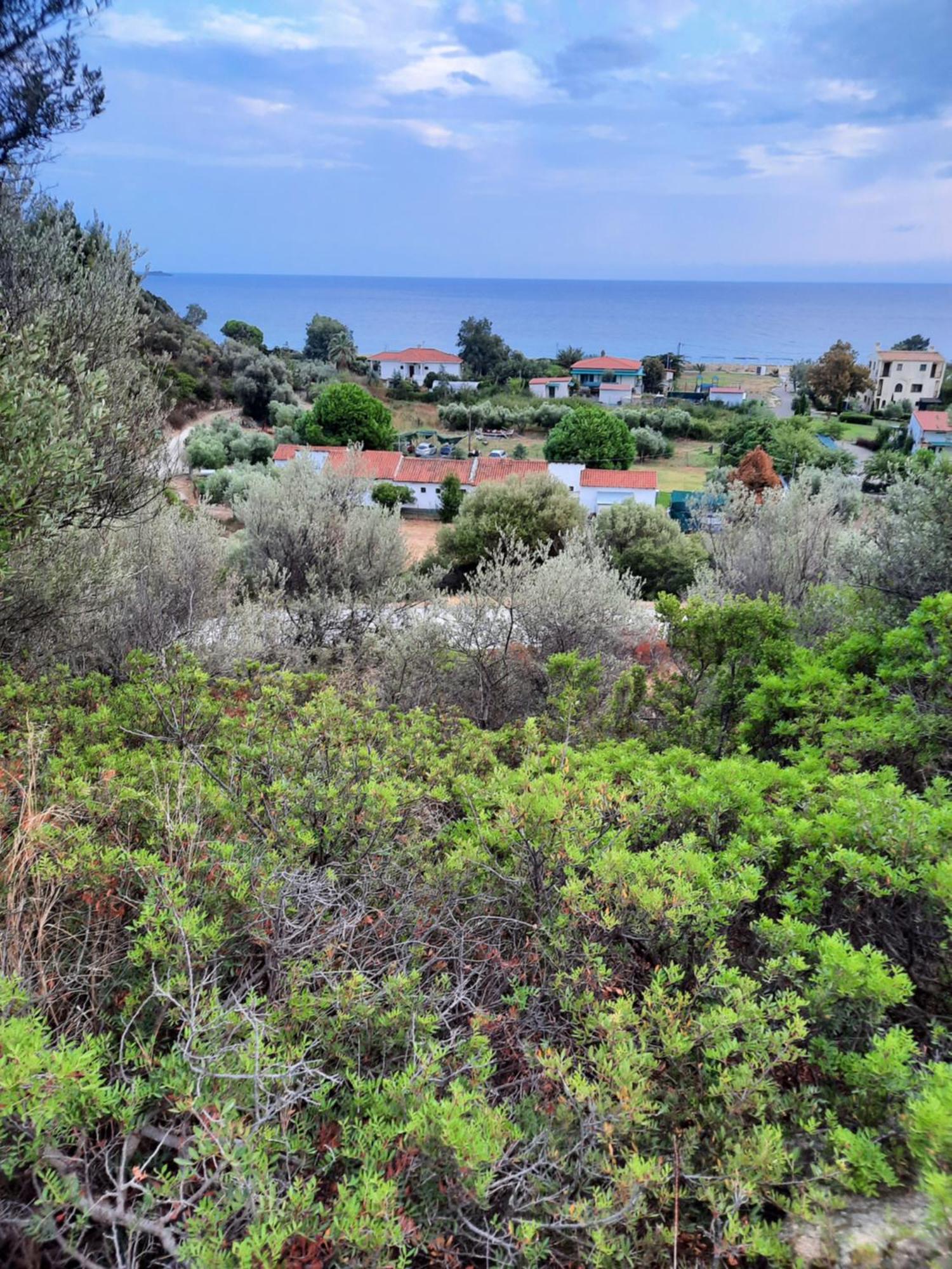 Bungalows Anestis Toroni Exterior foto